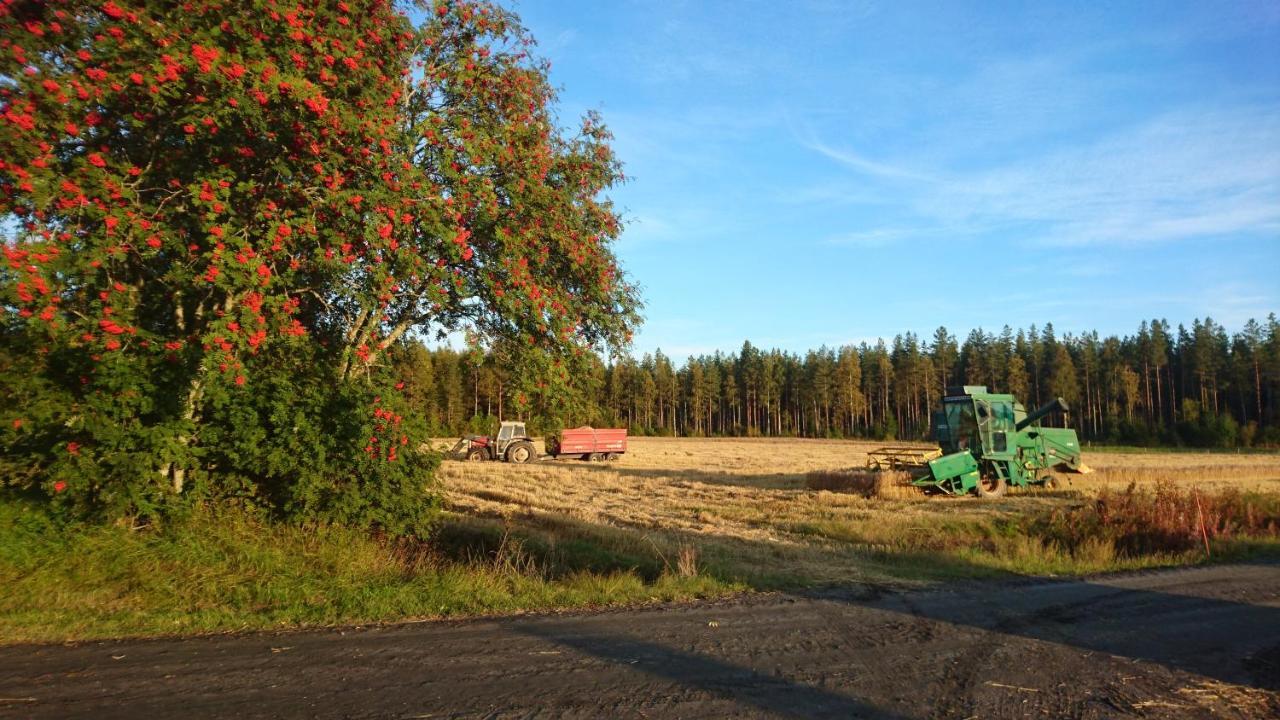 Maatilamatkailu Ilomaeki Seinäjoki Zewnętrze zdjęcie