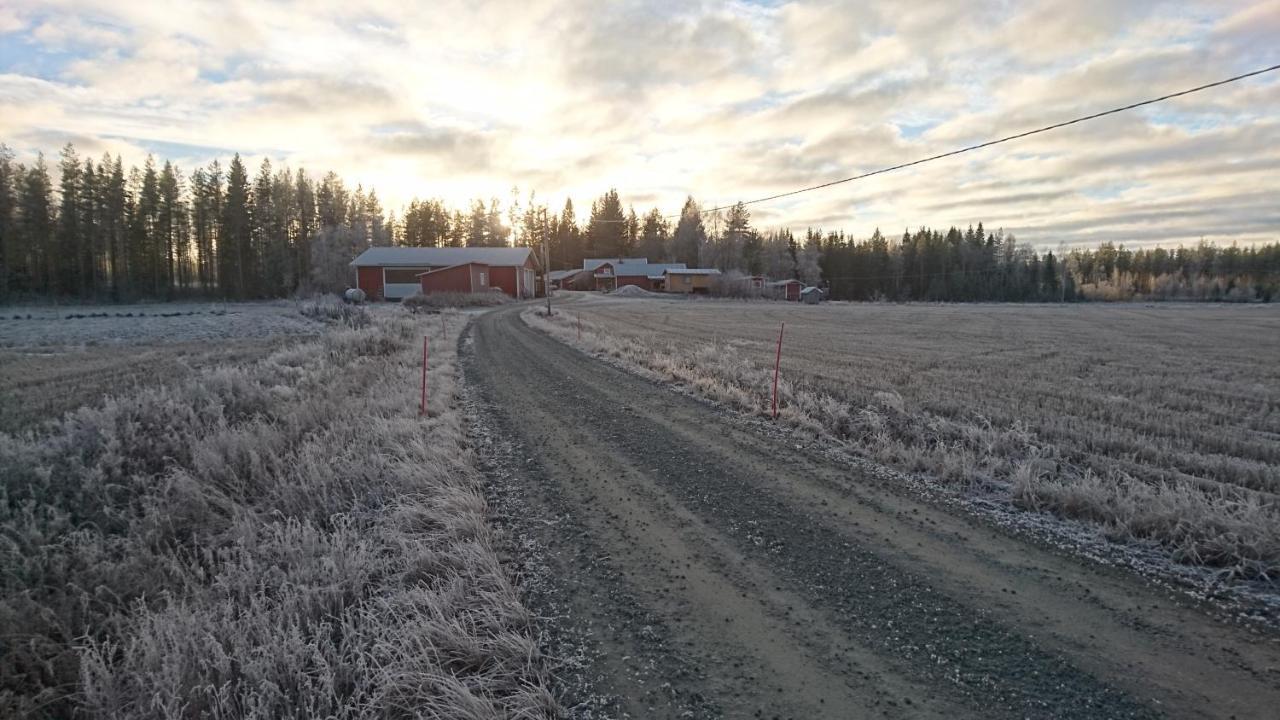 Maatilamatkailu Ilomaeki Seinäjoki Zewnętrze zdjęcie