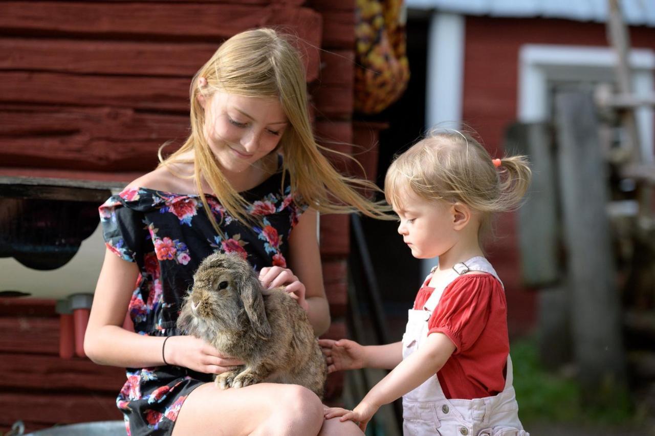 Maatilamatkailu Ilomaeki Seinäjoki Zewnętrze zdjęcie