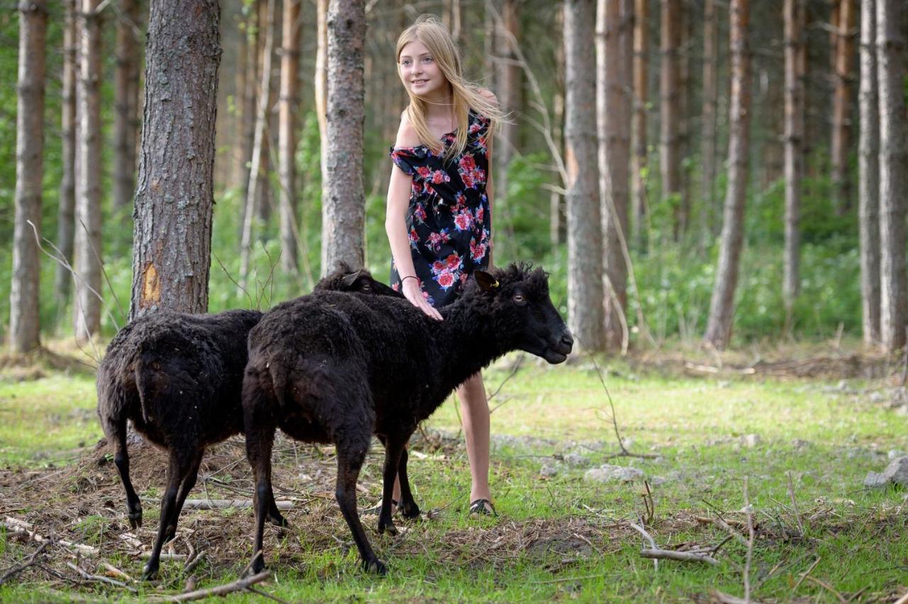 Maatilamatkailu Ilomaeki Seinäjoki Zewnętrze zdjęcie